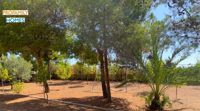 Alicante - Alicante - 195m2