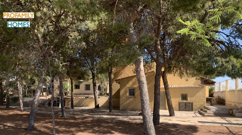 Alicante - Alicante - 195m2