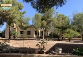 Xalet independent amb terreny en venda a Alacant ref.: TR252777 foto