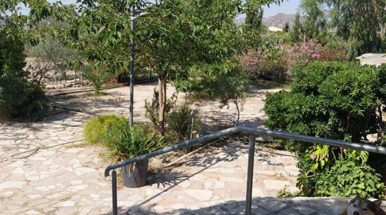 Alicante - Jijona - 16000m2