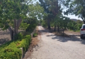 Chalet independiente con terreno en venta en Jijona ref: TR204637 foto