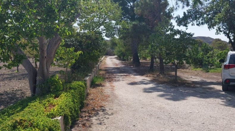 Alicante - Jijona - 16000m2