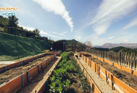 Torremanzanas 23000&nbsp;m²