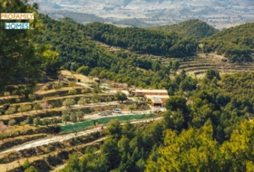 Torremanzanas 23000&nbsp;m²