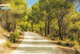 Torremanzanas 23000&nbsp;m²