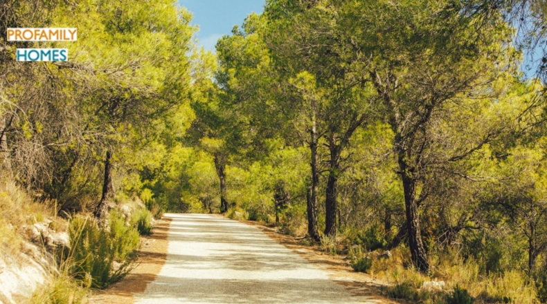 Alicante - Torremanzanas - 23000m2