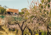 Отдельно стоящий дом с участком на продажу в городе Torremanzanas. Фото
