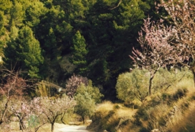 Torremanzanas 23000&nbsp;m²