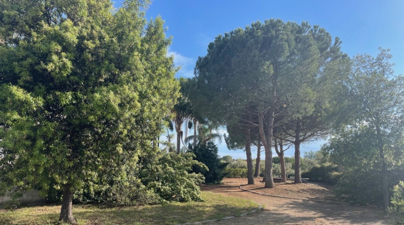 Tarragona - Reus - 913m2