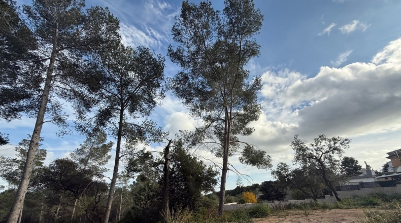 Tarragona - el Catllar - 602m2