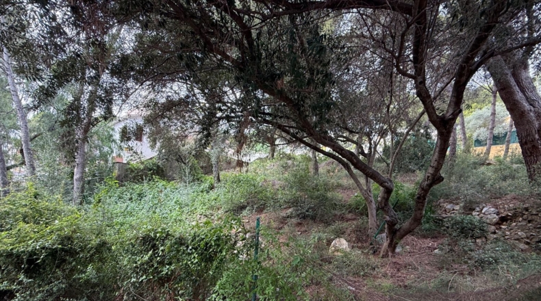 Tarragona - Tarragona - 732m2