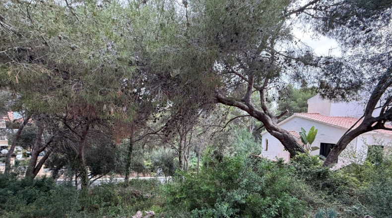 Tarragona - Tarragona - 732m2