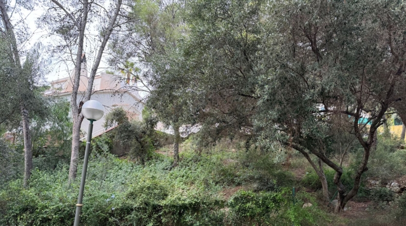 Tarragona - Tarragona - 732m2