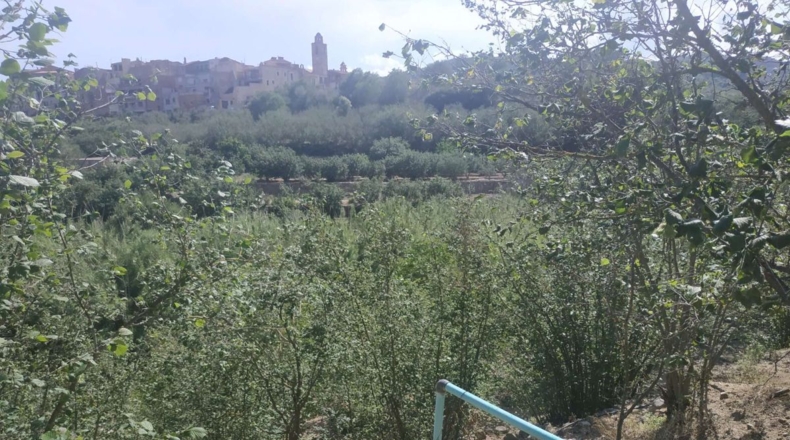 Tarragona - l'Aleixar - 6254m2