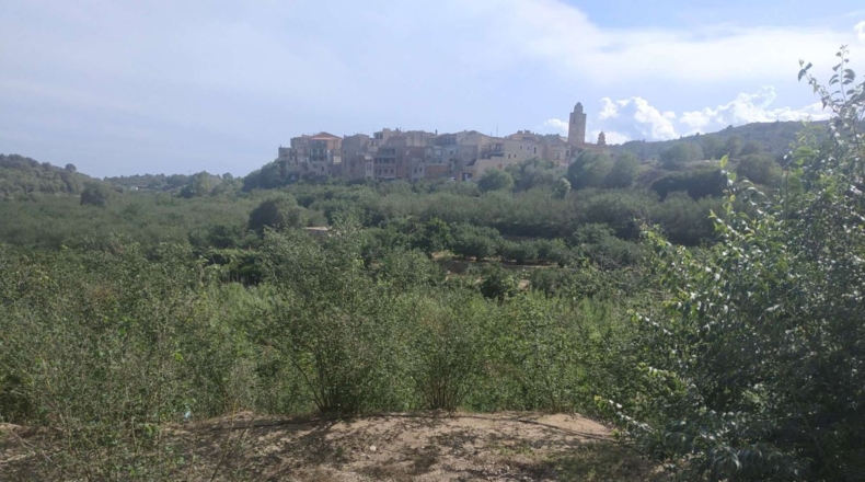 Tarragona - l'Aleixar - 6254m2