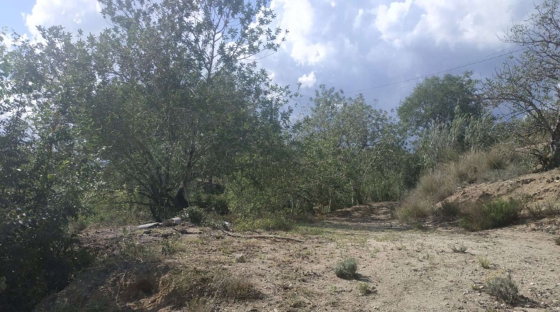 Tarragona - l'Aleixar - 6254m2