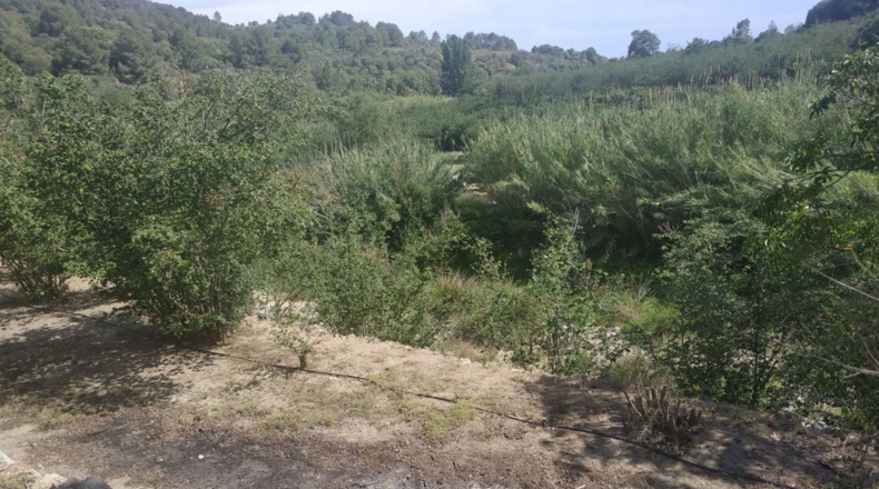 Tarragona - l'Aleixar - 6254m2
