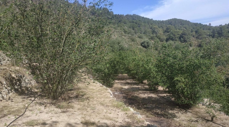 Tarragona - l'Aleixar - 6254m2