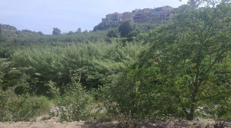 Tarragona - l'Aleixar - 6254m2
