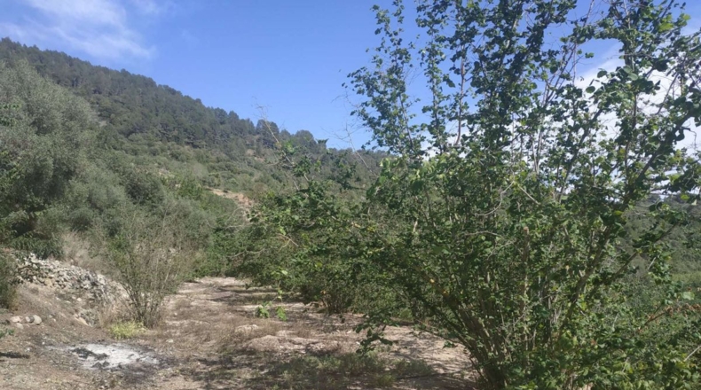 Tarragona - l'Aleixar - 6254m2