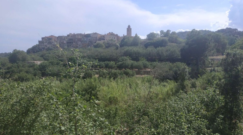 Tarragona - l'Aleixar - 6254m2