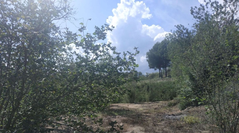 Tarragona - l'Aleixar - 6254m2