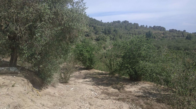 Tarragona - l'Aleixar - 6254m2