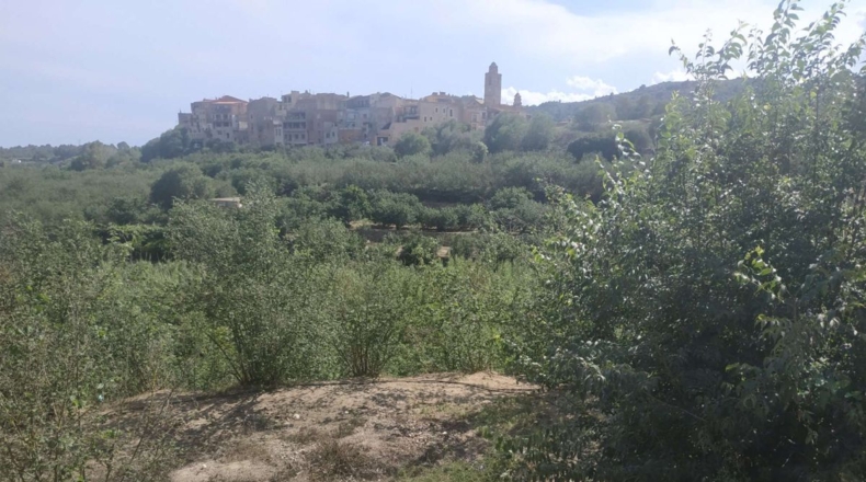 Tarragona - l'Aleixar - 6254m2