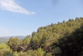 l'Aleixar 23740&nbsp;м²