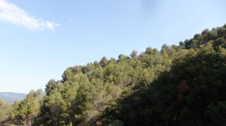 Tarragona - l'Aleixar - 23740m2