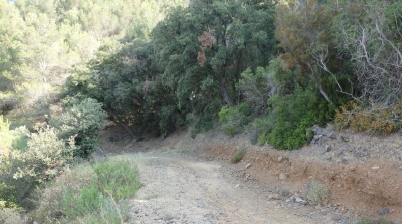 Tarragona - l'Aleixar - 23740m2