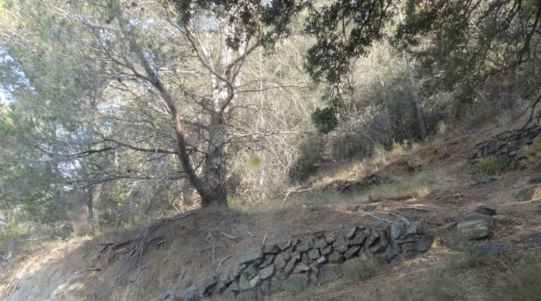 Tarragona - l'Aleixar - 23740m2