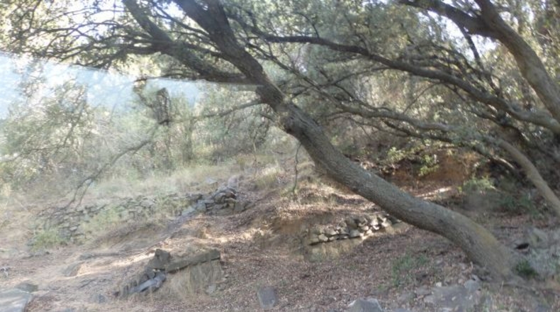 Tarragona - l'Aleixar - 23740m2