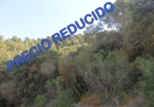 Terreno no urbanizable en venta en l'Aleixar ref: TR37025 foto