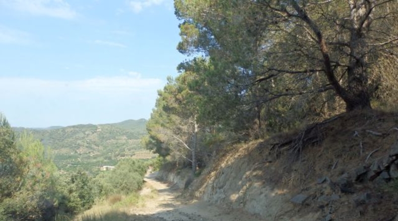 Tarragona - l'Aleixar - 23740m2