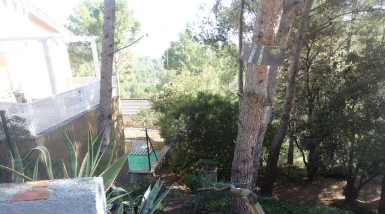 Tarragona - Riudecanyes - 659m2