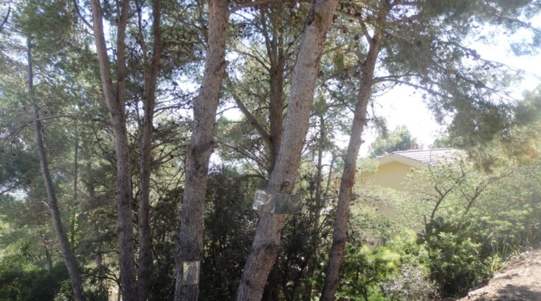 Tarragona - Riudecanyes - 659m2