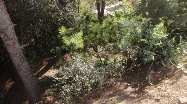 Tarragona - Riudecanyes - 659m2