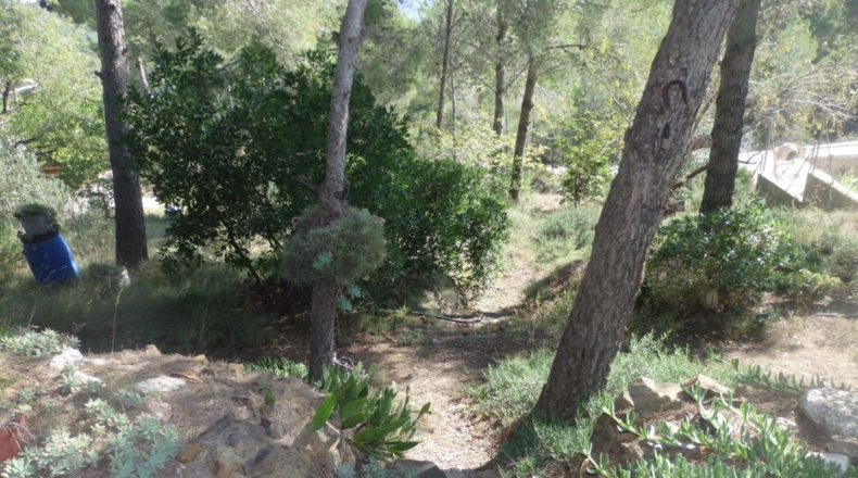 Tarragona - Riudecanyes - 659m2