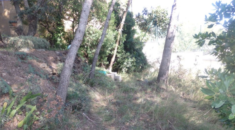 Tarragona - Riudecanyes - 659m2