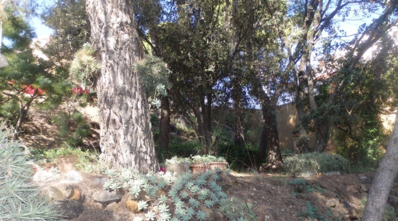 Tarragona - Riudecanyes - 659m2