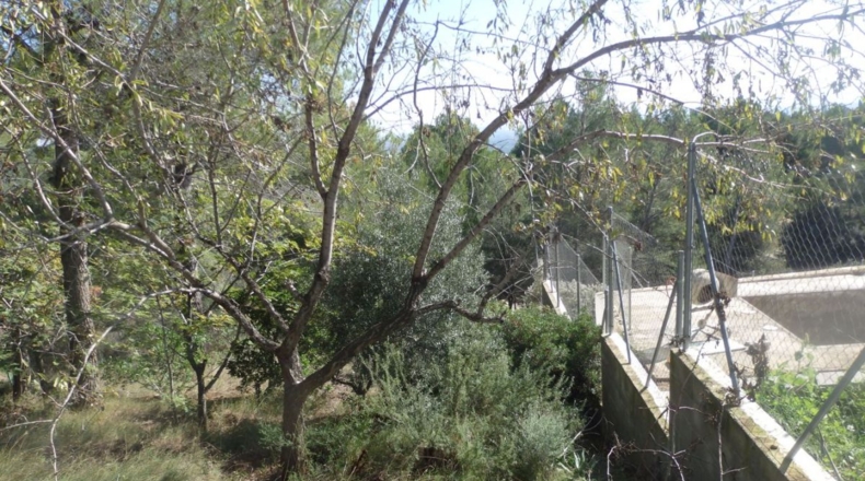 Tarragona - Riudecanyes - 659m2