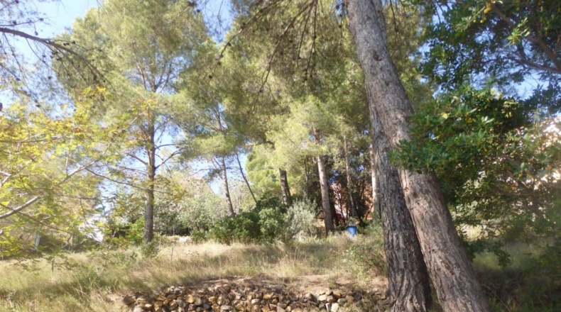 Tarragona - Riudecanyes - 659m2