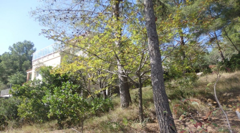 Tarragona - Riudecanyes - 659m2