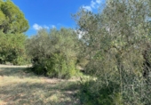 Terreny no urbanitzable en venda a Alcover ref.: TR57271 foto