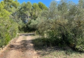 Terreny no urbanitzable en venda a Alcover ref.: TR57271 foto