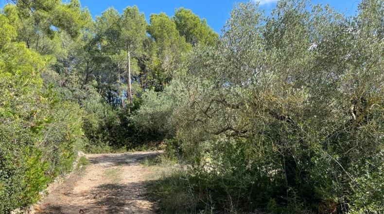 Tarragona - Alcover - 10000m2