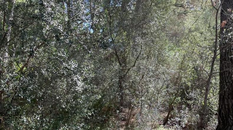 Tarragona - Alcover - 10000m2