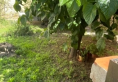 Sòl urbà en venda a la Selva del Camp ref.: TR109576 foto