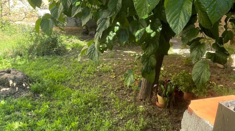 Tarragona - la Selva del Camp - 184m2